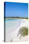 Playa Larga, Cayo Coco, Jardines Del Rey, Ciego De Avila Province, Cuba-Jane Sweeney-Stretched Canvas