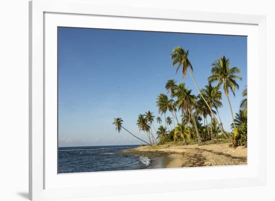 Playa Los Bohios, Maunabo, south coast of Puerto Rico, Caribbean, Central America-Tony Waltham-Framed Photographic Print