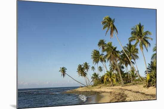 Playa Los Bohios, Maunabo, south coast of Puerto Rico, Caribbean, Central America-Tony Waltham-Mounted Photographic Print