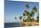 Playa Los Bohios, Maunabo, south coast of Puerto Rico, Caribbean, Central America-Tony Waltham-Mounted Photographic Print