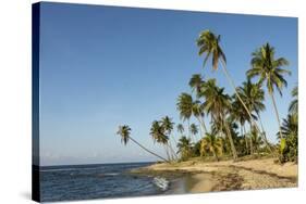 Playa Los Bohios, Maunabo, south coast of Puerto Rico, Caribbean, Central America-Tony Waltham-Stretched Canvas