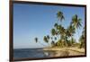 Playa Los Bohios, Maunabo, south coast of Puerto Rico, Caribbean, Central America-Tony Waltham-Framed Photographic Print