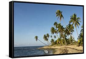 Playa Los Bohios, Maunabo, south coast of Puerto Rico, Caribbean, Central America-Tony Waltham-Framed Stretched Canvas