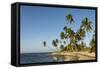 Playa Los Bohios, Maunabo, south coast of Puerto Rico, Caribbean, Central America-Tony Waltham-Framed Stretched Canvas