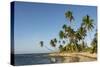 Playa Los Bohios, Maunabo, south coast of Puerto Rico, Caribbean, Central America-Tony Waltham-Stretched Canvas