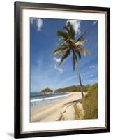 Playa Pelada, Nosara, Nicoya Peninsula, Guanacaste Province, Costa Rica, Central America-Robert Francis-Framed Photographic Print