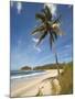 Playa Pelada, Nosara, Nicoya Peninsula, Guanacaste Province, Costa Rica, Central America-Robert Francis-Mounted Photographic Print