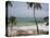 Playa Preciosa Beach, Abreu, North Coast, Dominican Republic-Walter Bibikow-Stretched Canvas