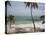 Playa Preciosa Beach, Abreu, North Coast, Dominican Republic-Walter Bibikow-Stretched Canvas