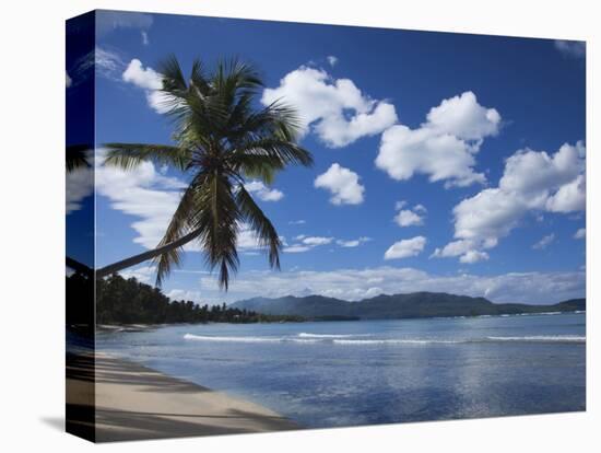 Playa Rincon Beach, Las Galeras, Samana Peninsula, Dominican Republic-Walter Bibikow-Stretched Canvas
