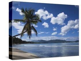 Playa Rincon Beach, Las Galeras, Samana Peninsula, Dominican Republic-Walter Bibikow-Stretched Canvas