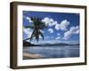 Playa Rincon Beach, Las Galeras, Samana Peninsula, Dominican Republic-Walter Bibikow-Framed Photographic Print