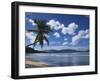 Playa Rincon Beach, Las Galeras, Samana Peninsula, Dominican Republic-Walter Bibikow-Framed Photographic Print