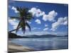 Playa Rincon Beach, Las Galeras, Samana Peninsula, Dominican Republic-Walter Bibikow-Mounted Photographic Print