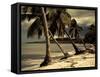 Playa Rincon Beach, Las Galeras, Samana Peninsula, Dominican Republic-Walter Bibikow-Framed Stretched Canvas