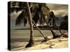 Playa Rincon Beach, Las Galeras, Samana Peninsula, Dominican Republic-Walter Bibikow-Stretched Canvas