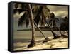 Playa Rincon Beach, Las Galeras, Samana Peninsula, Dominican Republic-Walter Bibikow-Framed Stretched Canvas