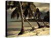 Playa Rincon Beach, Las Galeras, Samana Peninsula, Dominican Republic-Walter Bibikow-Stretched Canvas