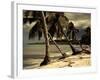 Playa Rincon Beach, Las Galeras, Samana Peninsula, Dominican Republic-Walter Bibikow-Framed Photographic Print