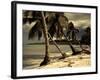 Playa Rincon Beach, Las Galeras, Samana Peninsula, Dominican Republic-Walter Bibikow-Framed Photographic Print