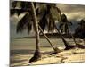 Playa Rincon Beach, Las Galeras, Samana Peninsula, Dominican Republic-Walter Bibikow-Mounted Photographic Print