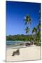 Playa Rincon, Las Galeras, Semana Peninsula-Michael Runkel-Mounted Photographic Print