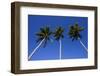 Playa Rincon, Las Galeras, Semana Peninsula-Michael Runkel-Framed Photographic Print