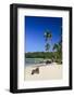 Playa Rincon, Las Galeras, Semana Peninsula-Michael Runkel-Framed Photographic Print