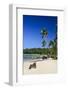 Playa Rincon, Las Galeras, Semana Peninsula-Michael Runkel-Framed Photographic Print