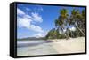 Playa Rincon, Samana Peninsula, Dominican Republic, West Indies, Caribbean, Central America-Jane Sweeney-Framed Stretched Canvas