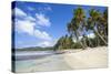 Playa Rincon, Samana Peninsula, Dominican Republic, West Indies, Caribbean, Central America-Jane Sweeney-Stretched Canvas