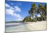Playa Rincon, Samana Peninsula, Dominican Republic, West Indies, Caribbean, Central America-Jane Sweeney-Mounted Photographic Print