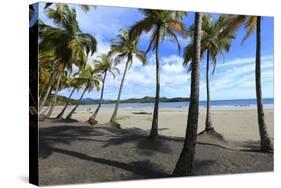 Playa Samara Beach-Stefano Amantini-Stretched Canvas