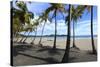 Playa Samara Beach-Stefano Amantini-Stretched Canvas