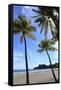 Playa Samara Beach-Stefano Amantini-Framed Stretched Canvas