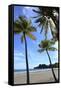 Playa Samara Beach-Stefano Amantini-Framed Stretched Canvas