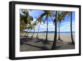 Playa Samara Beach-Stefano Amantini-Framed Photographic Print