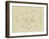 Playbook II-Ethan Harper-Framed Art Print