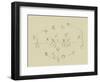 Playbook II-Ethan Harper-Framed Art Print