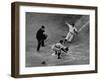 Player Attempting to Slide Home During an Unidentified Baseball Game-null-Framed Premium Photographic Print