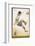 Player Clears the Ball in an Acrobatic Manner-null-Framed Photographic Print