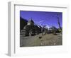 Player Flags, Nepal-Michael Brown-Framed Photographic Print