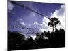 Player Flags, Nepal-Michael Brown-Mounted Photographic Print