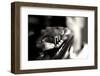 Player-Mark Kling-Framed Photographic Print