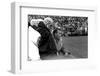 Players and their Coach, Murray Warmath, Minnesota-Iowa Game, Minneapolis, November 1960-Francis Miller-Framed Photographic Print