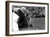 Players and their Coach, Murray Warmath, Minnesota-Iowa Game, Minneapolis, November 1960-Francis Miller-Framed Photographic Print