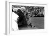 Players and their Coach, Murray Warmath, Minnesota-Iowa Game, Minneapolis, November 1960-Francis Miller-Framed Photographic Print