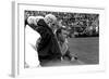 Players and their Coach, Murray Warmath, Minnesota-Iowa Game, Minneapolis, November 1960-Francis Miller-Framed Photographic Print