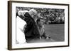 Players and their Coach, Murray Warmath, Minnesota-Iowa Game, Minneapolis, November 1960-Francis Miller-Framed Photographic Print