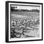 Players Running During the Dodgers Spring Training-George Silk-Framed Photographic Print